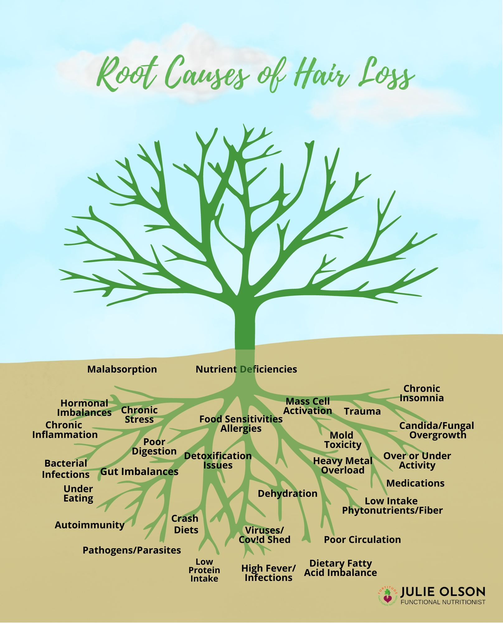 Underlying root causes of hair loss